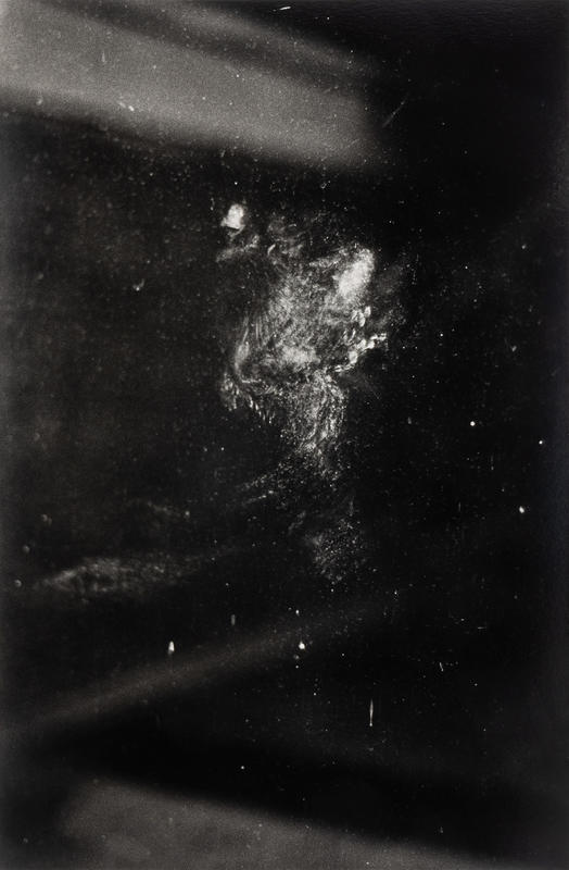 Invitation dilemma (wood pigeon, Akademie der Künste, Hansaviertel) [1]