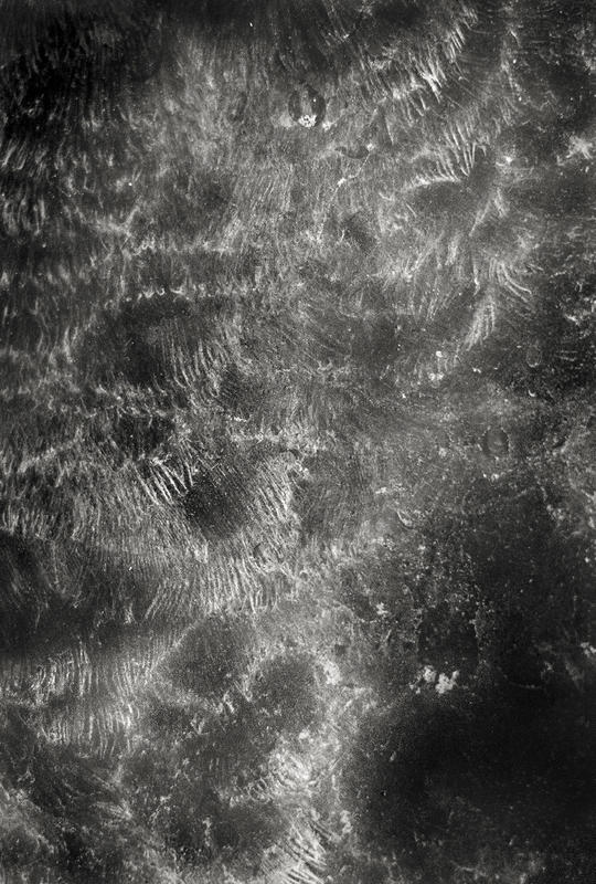 Invitation dilemma (wood pigeon, Akademie der Künste, Hansaviertel) [2]