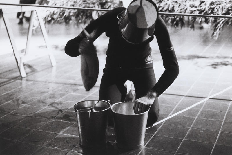Bucket Action Still